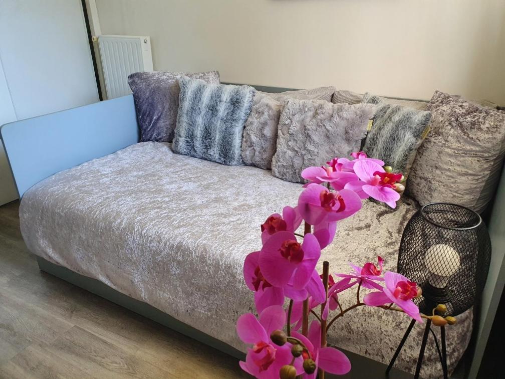 Apartment Cosynest Dunkerque Dunkirk